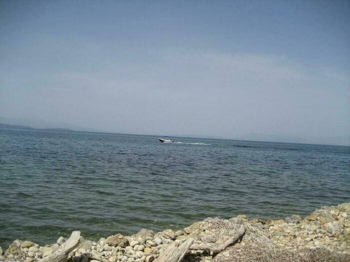 Image description