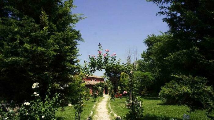 Image description