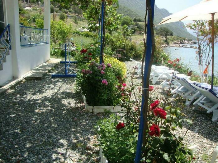 Image description