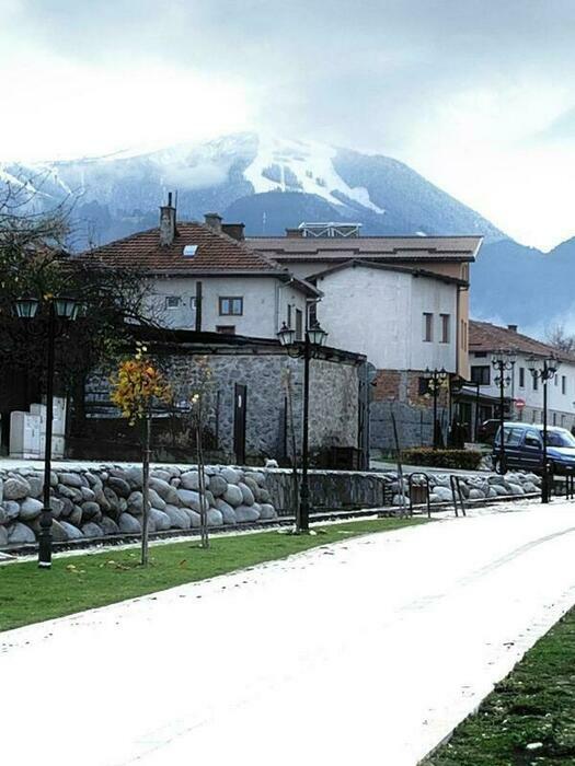 Image description