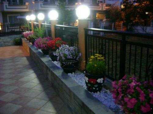 Image description