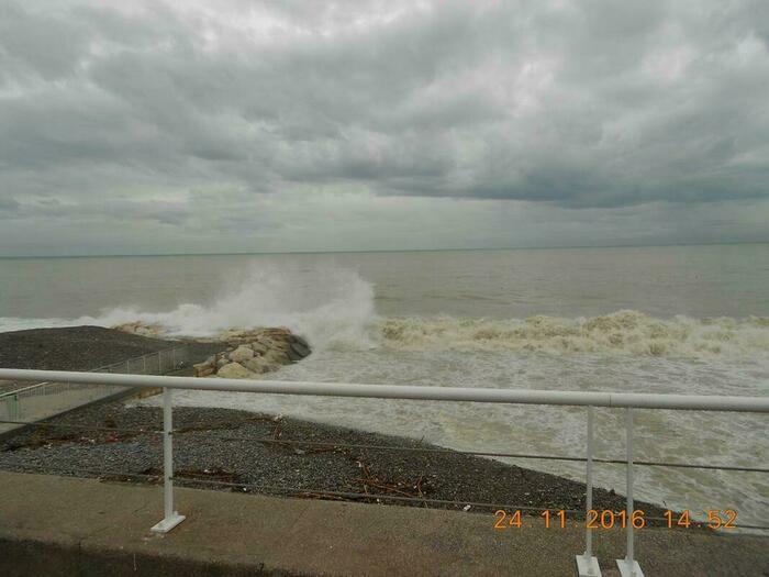 Image description
