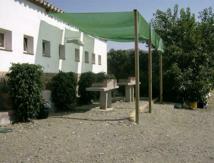 Image description