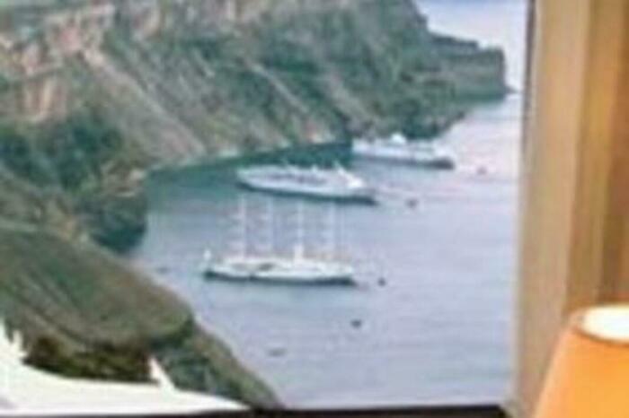 Image description