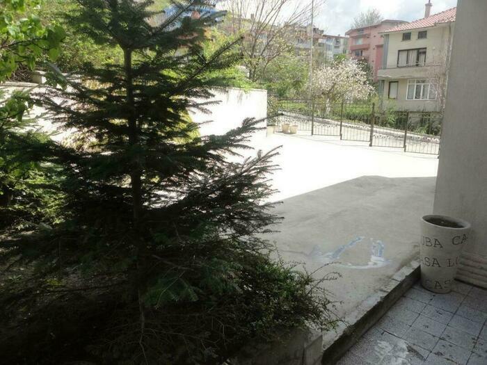 Image description