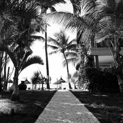 Image description