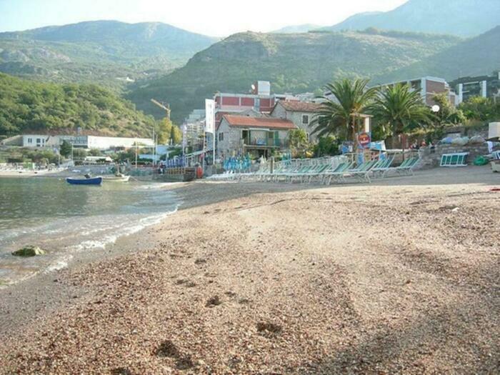 Image description