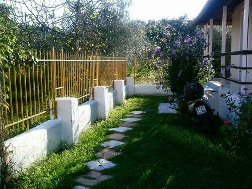 Image description