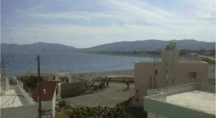 Image description