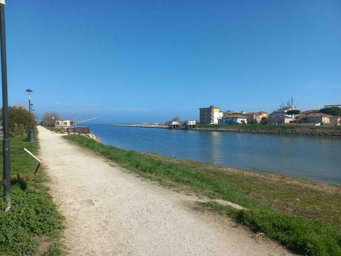 Image description