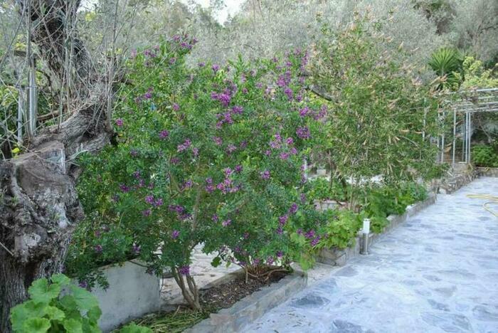 Image description