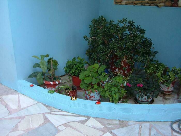 Image description