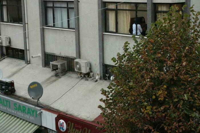 Image description