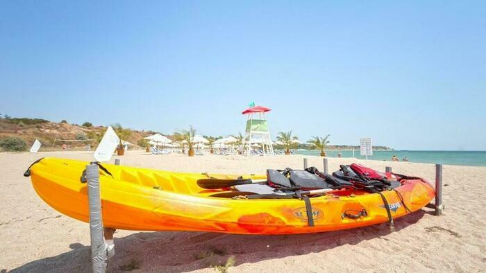 Image description