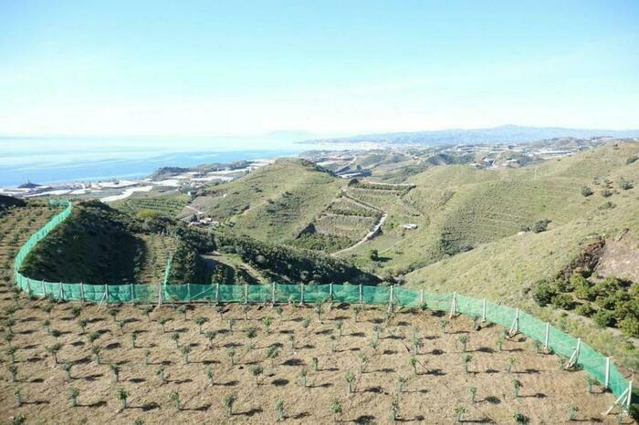 Image description