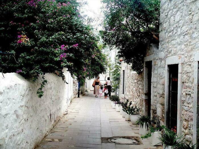 Image description