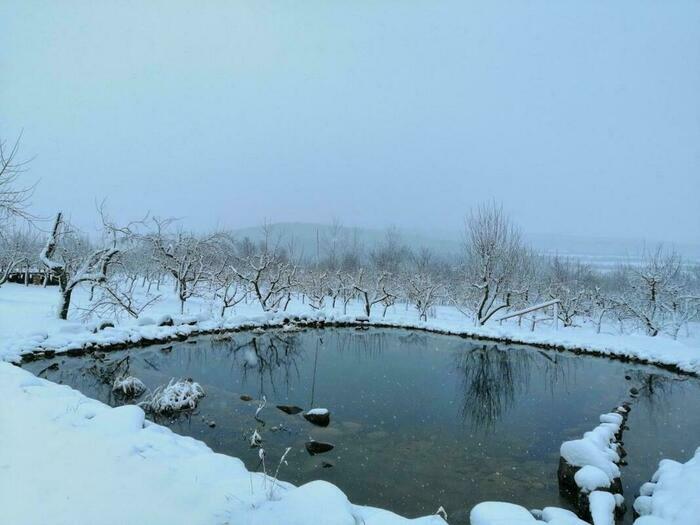 Image description