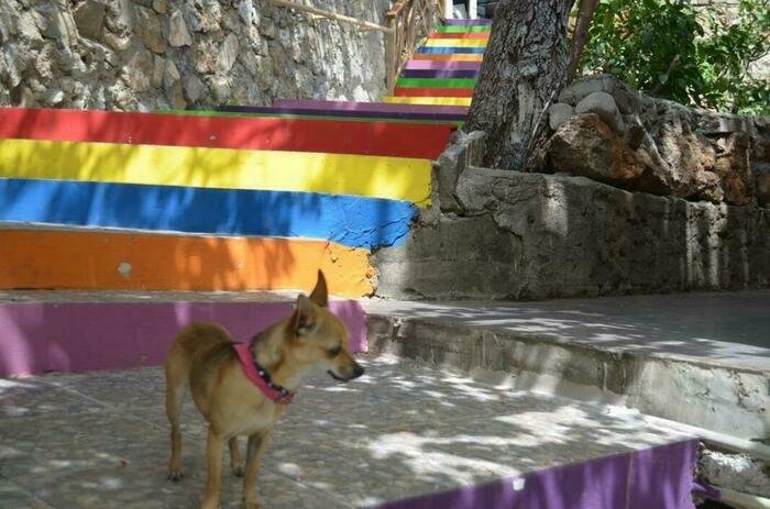 Image description