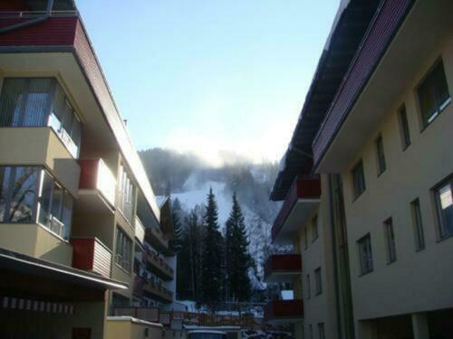 Image description
