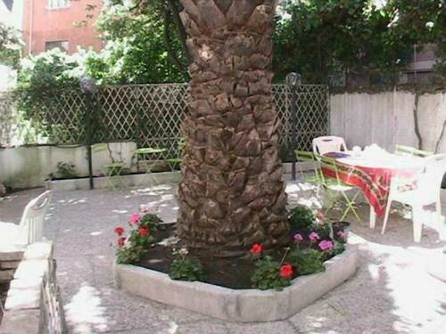 Image description