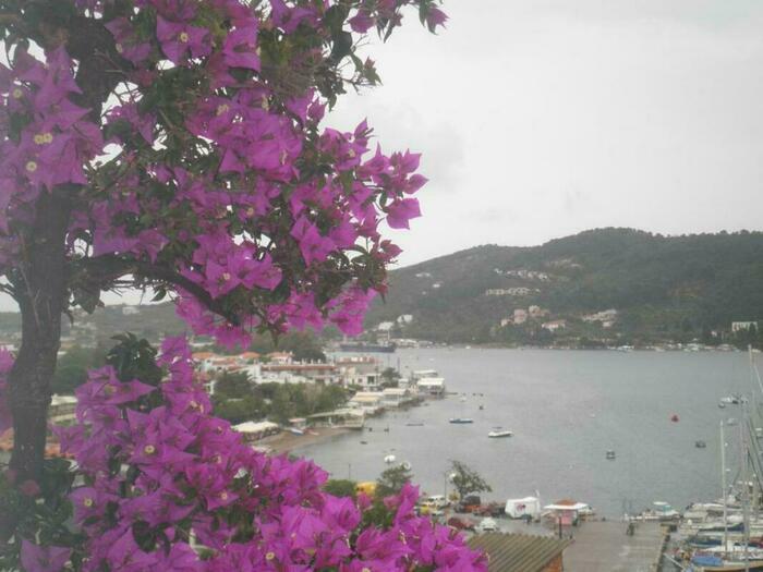 Image description