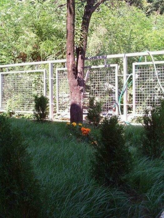Image description