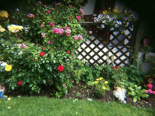 Image description