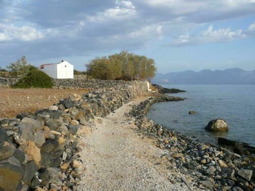 Image description