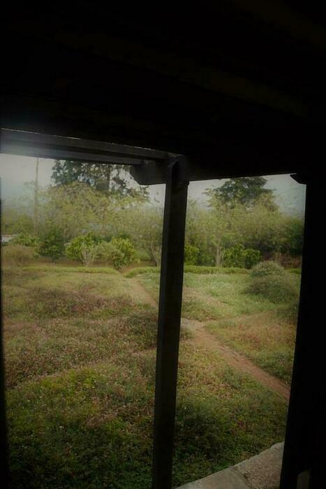 Image description