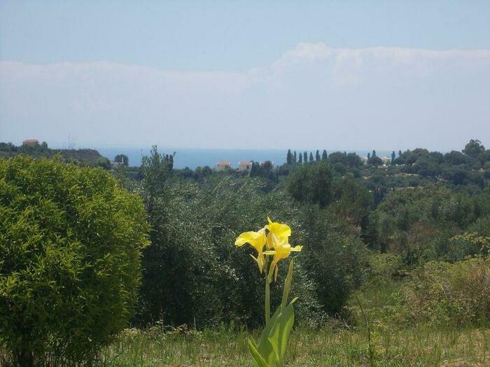 Image description