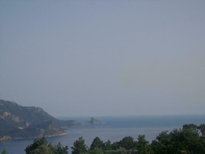 Image description