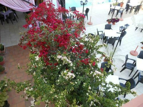 Image description