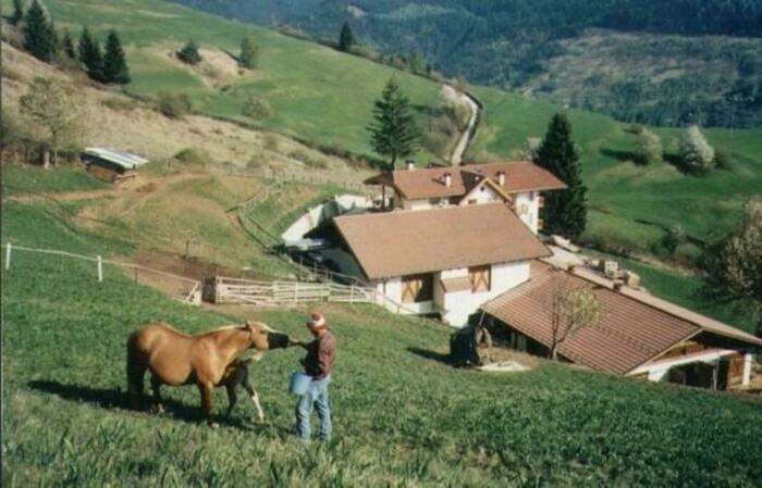 Image description