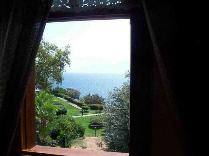 Image description