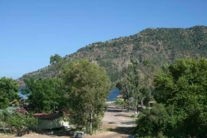 Image description
