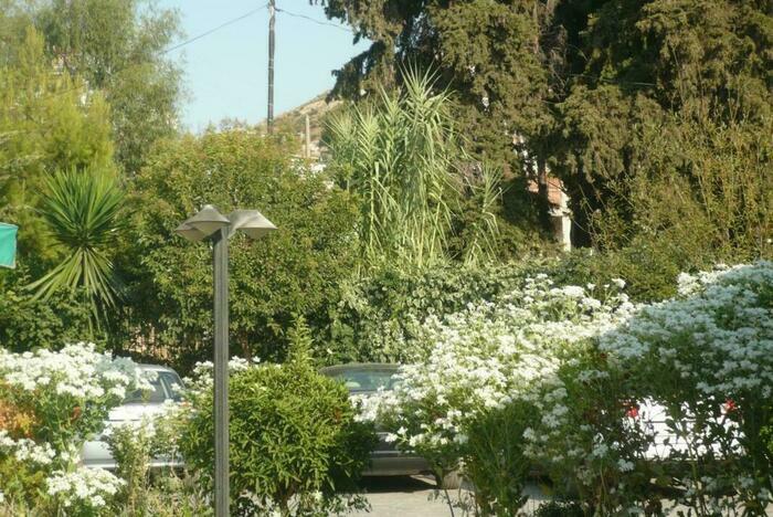 Image description