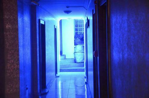 Image description