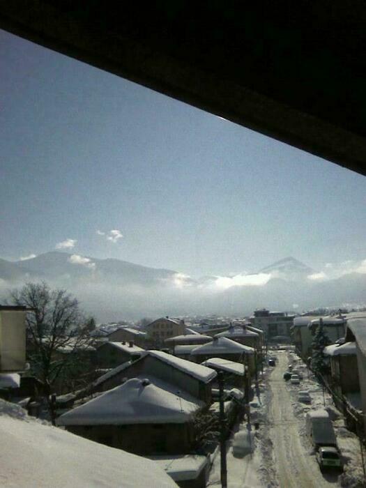 Image description
