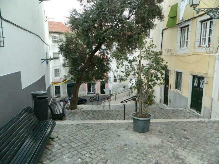 Image description