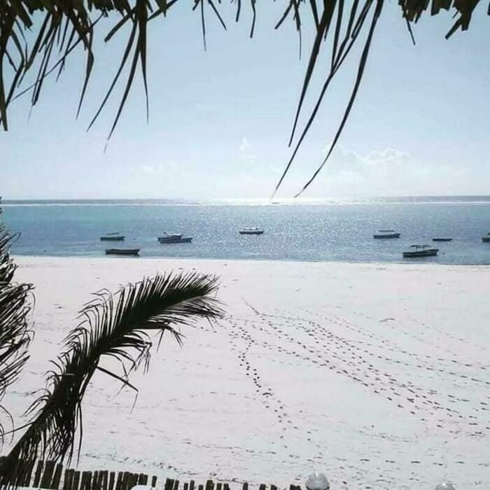 Image description