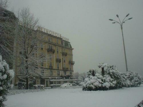 Image description