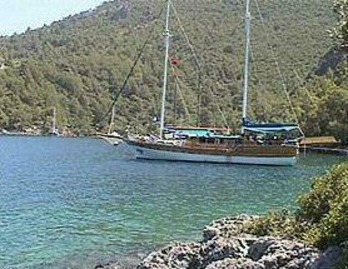 Image description