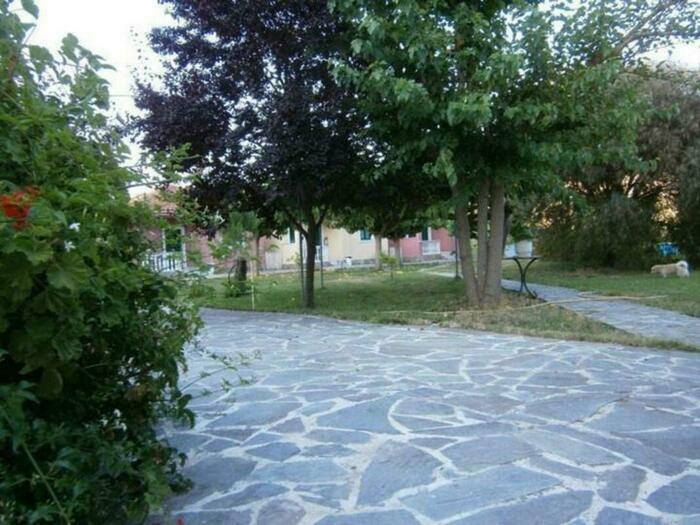 Image description