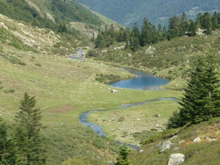 Image description
